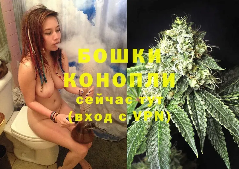 kraken tor  Тара  Шишки марихуана LSD WEED 